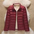Wine Red