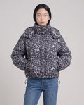 Grey Leopard