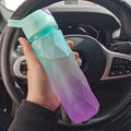 Greenpurple Gradient