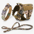 Camouflage Set