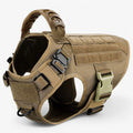 Brown Harness